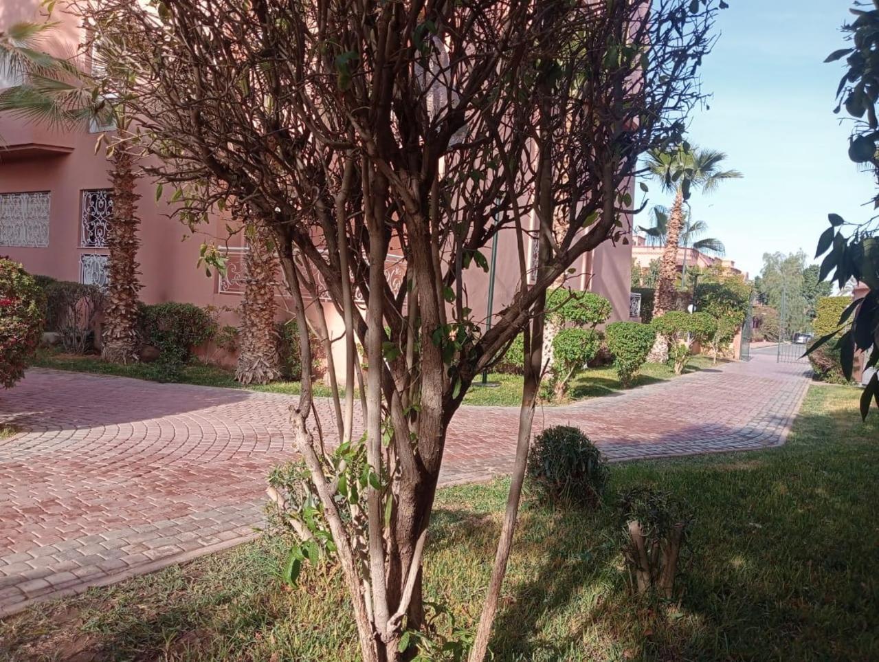 Majorelle 2 Olivier Appartement *