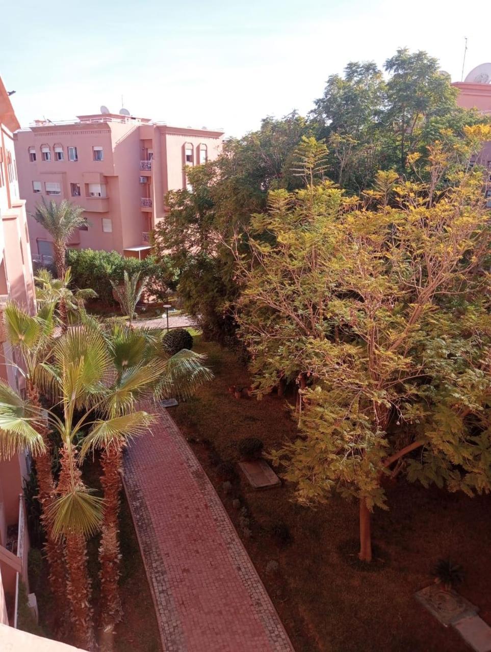 Majorelle 2 Olivier